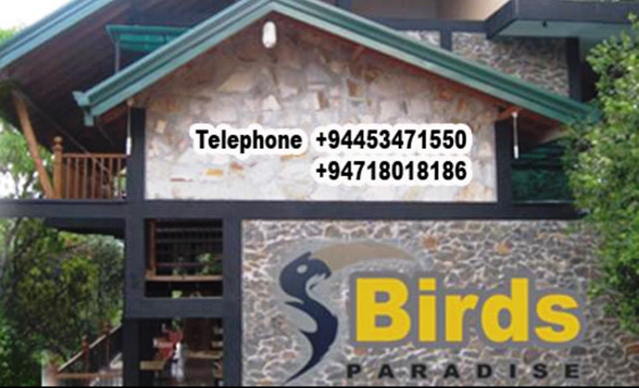 Birds Paradise Hotel Kudawe Екстериор снимка